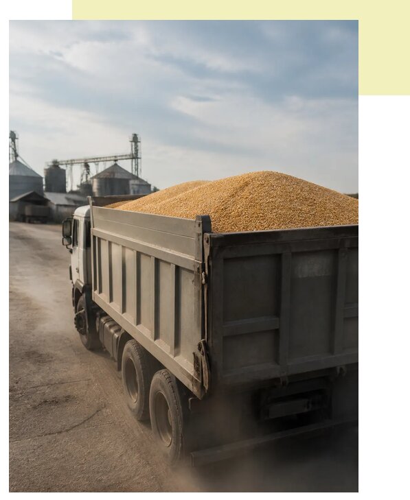 Перевозка сельхозпродукции навалом в Новоуральск по цене от 3062 р. | Агросервис-Нву
