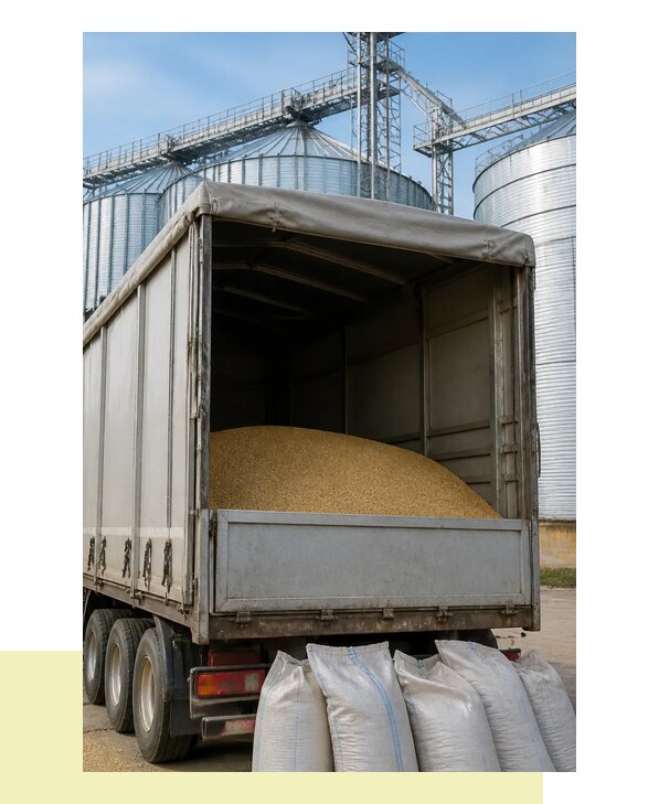 Перевозка фуражного зерна в Новоуральск с гарантией сроков