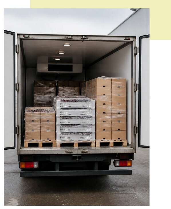 Перевозка замороженных фруктов в Новоуральск по цене от 5104 р. | Агросервис-Нву